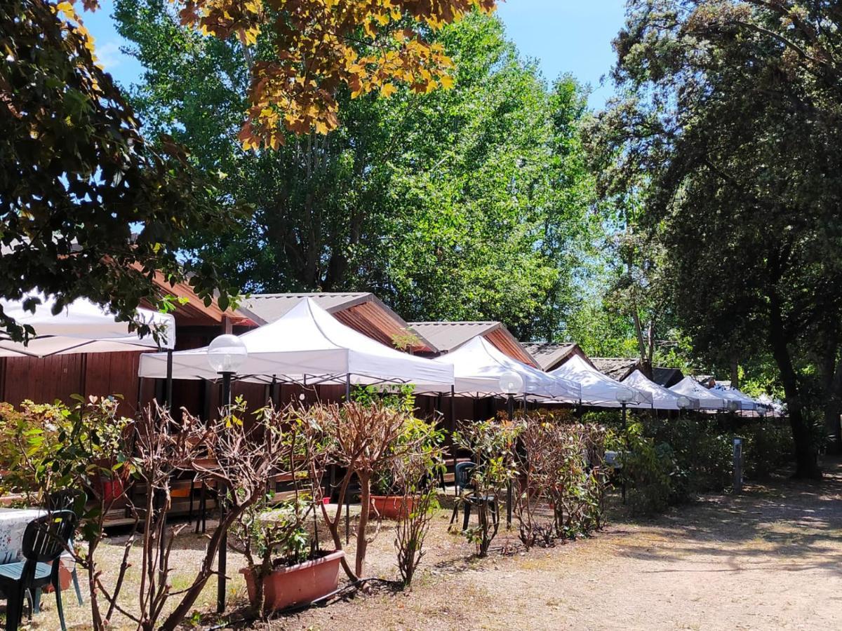 Отель Cabana Camp Масса Номер фото